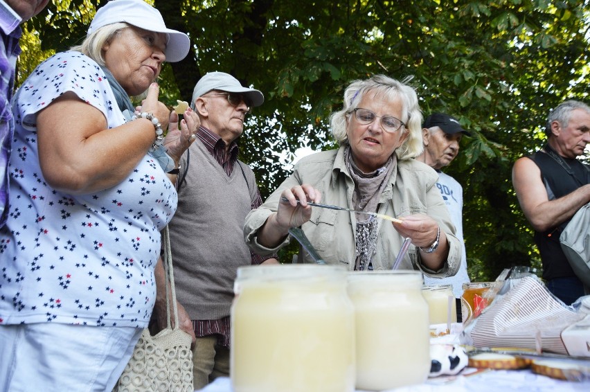 Dzień Pszczoły w Ogrodzie Botanicznym