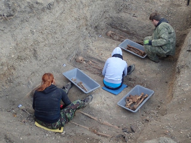 Członkowie stowarzyszenia Pomost podczas pracy w Koźlu. Kości trafiają do małych trumienek. To największa ekshumacja w historii Opolszczyzny.
