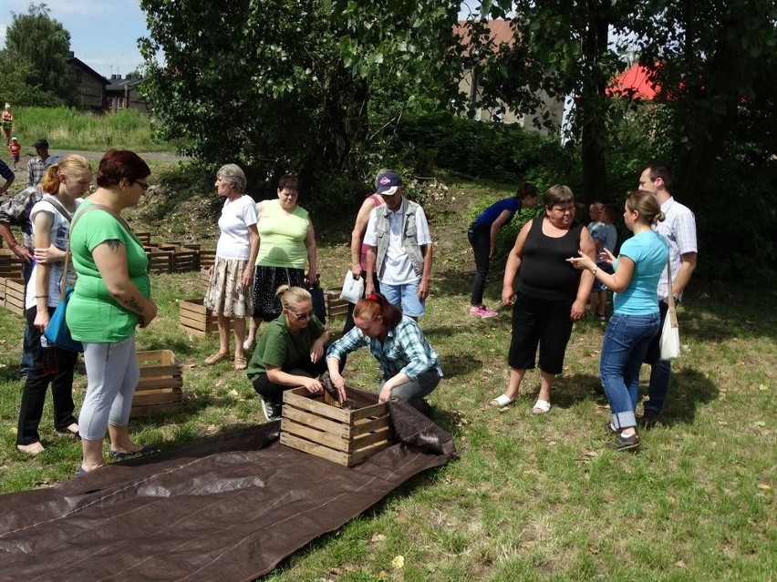 Ruda Śląska: Na Kaufhausie powstaje ogród społeczny