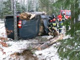 Serski Las. Mercedes Sprinter wypadł z drogi i połamał drzewo (zdjęcia)