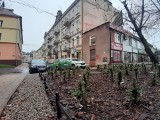 Lublin bardziej zielony. Powstał nowy skwer przy ul. Furmańskiej od strony al. Tysiąclecia