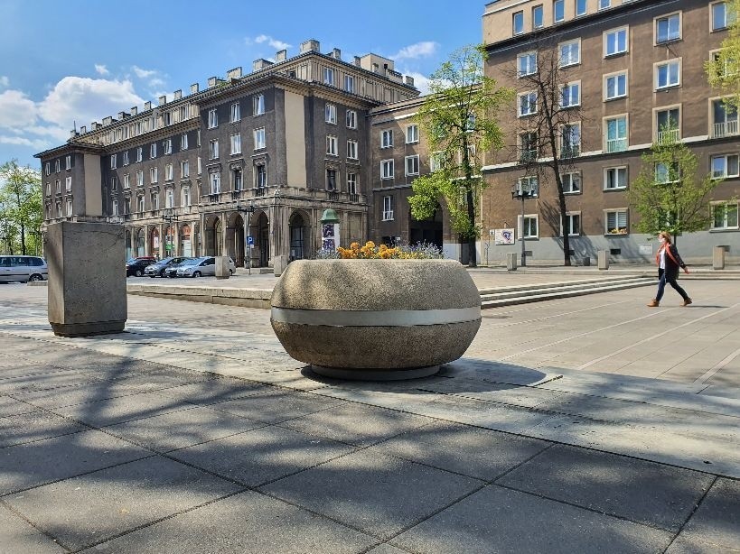 Aleja róż w Nowej Hucie będzie zielona jak w latach 60.