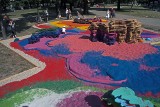 Kolorowy Park J.H. Dąbrowskiego. Trwa wystawa "Praktykowanie swobody"