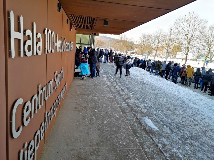 Kraków. Ogromna kolejka przed wejściem na giełdę terrarystyczno-akwarystyczną w hali Cracovii. Czekali, by zobaczyć węże i pająki [ZDJĘCIA]