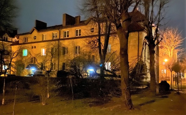 Kilkaset zgłoszeń odebrali strażacy w powiatach Małopolski zachodniej, m.in. w Olkuszu z ul. Francesco Nullo, gdzie wiatr wyrwał ogromne drzewo z korzeniami w bliskim sąsiedztwie budynku wielorodzinnego