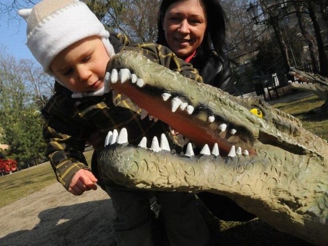 Paszcza aligatora to największa atrakcja placu zabaw