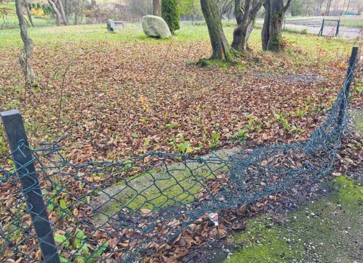 Oto jak w ostatnich dniach wyglądał żydowski cmentarz w Koszalinie. Ogrodzenie albo je st pogięte, albo go wcale nie ma, pod drzewami walają się śmieci, butelki po alkoholu.