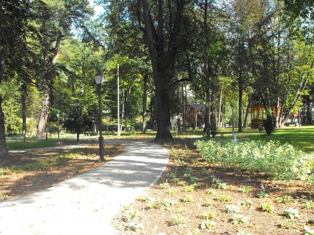 Jednym z miejsc, gdzie żerują podkowce małe, jest Park Dolny w centrum Szczawnicy