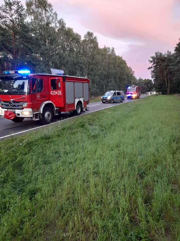 W okolicach Trzemielewa (gm. Rzeczenica) na drodze krajowej...