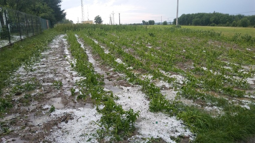 Gradobicie w powiecie krakowskim.