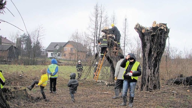 W ubiegłym roku wielkie ogławianie odbywało się w Kościelcu