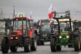 Trwa protest rolników na drodze prowadzącej do lotniska w Pyrzowicach. Dotychczas nie odnotowano niepokojących incydentów. WIDEO