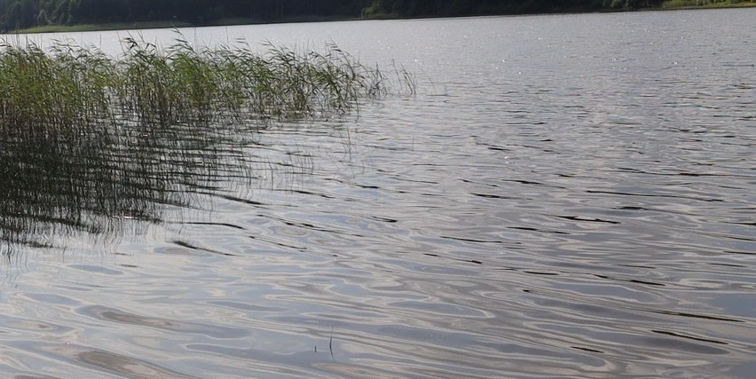 Do tragicznego zdarzenia doszło nad jeziorem Lewinko (gmina Linia)