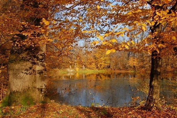 Jesien w parku w Dukli...