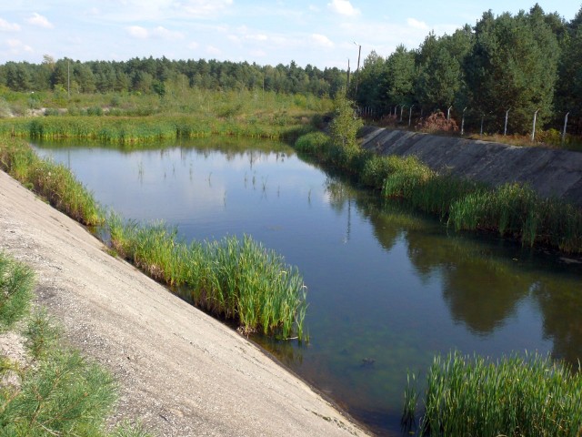 Staw osadowy wyłożony betonem wygląda może nawet uroczo, ale wewnątrz są toksyczne chemikalia zagrażające środowisku