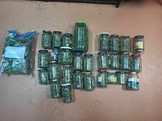 Podczas przeszukania w domu i pomieszczeniach gospodarczych 51-latka w Skarżysku policjanci znaleźli ponad trzy kilogramy marihuany.