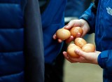 Jajkami i workami z wodą w klientów knajpy
