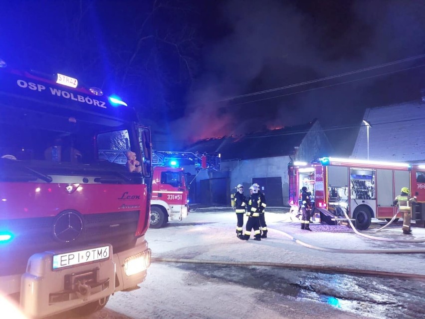 Pożar w stadninie w Bogusławicach.