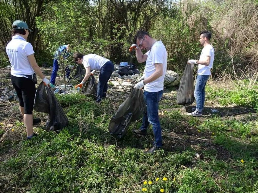 W piątek pracownicy lokalnych firm zlikwidowali dzikie...