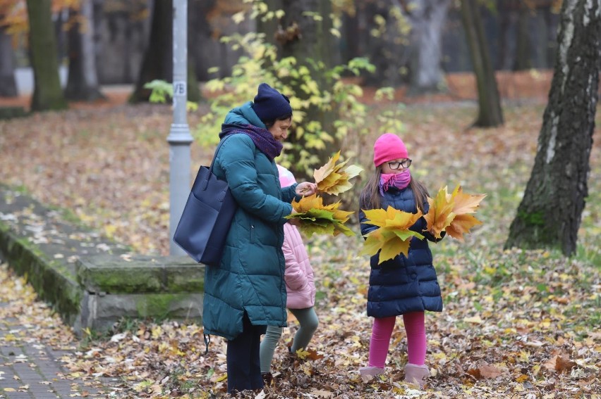 Park Kościuszki w Katowicach...