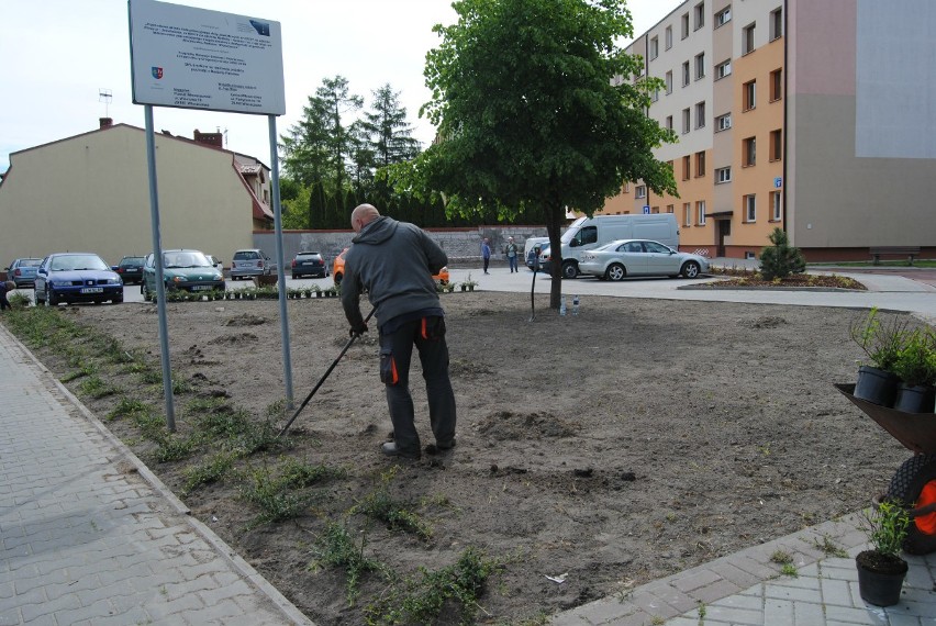 W piątek trwały prace między innymi na osiedlu Broniewskiego...