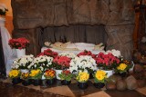 Groby Pańskie w kościołach w Sandomierzu. Zobaczcie, jak zostały przygotowane. ZDJĘCIA 