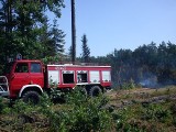 Pożar traw w Osinach