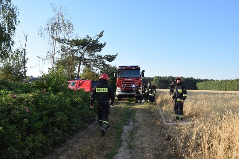 Pożar wysypiska śmieci w Mostkach koło Zduńskiej Woli