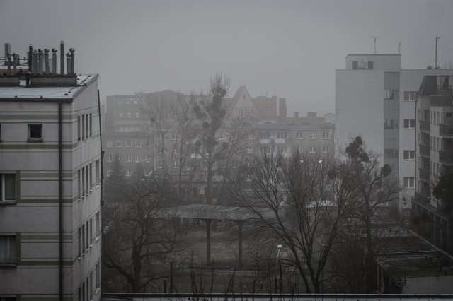 Czy w Poznaniu jest smog? Jakość powietrza w Poznaniu w piątek, 19 lutego.