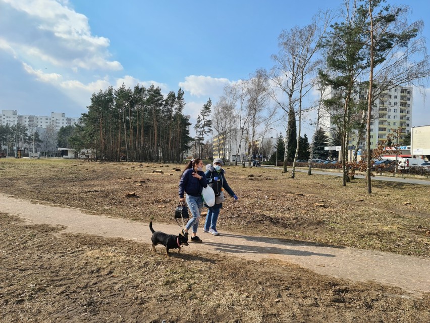 Ul. Olimpijska. Tu ma powstać jeden z parkingów park&ride