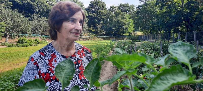 Wanda Matras przyznaje, że w uprawie ogródka idzie na całość...