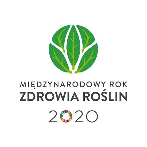 Piknik ekologiczny „Zdrowe rośliny źródłem życia”