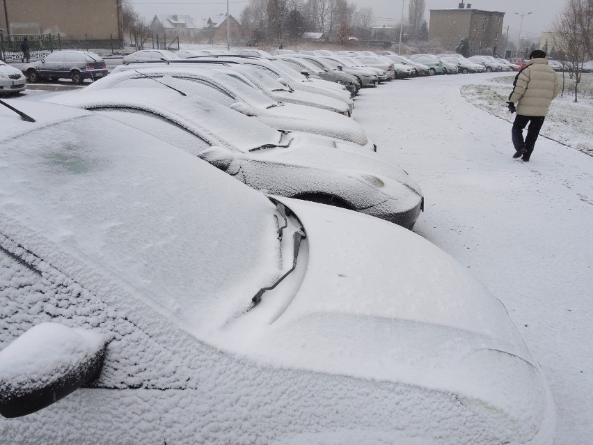 W sobotę temperatura maksymalna od -8 stopni C na północnym...