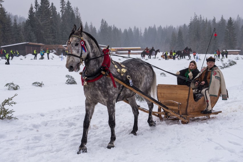 Podhale: Za nami pierwsze w tym roku wyścigi kumoterek