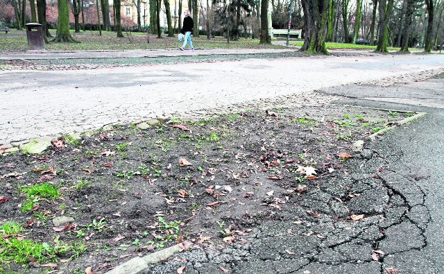 Czytelnicy sugerują, aby w Parku Miejskim przeprowadzić generalny remont ścieżek.
