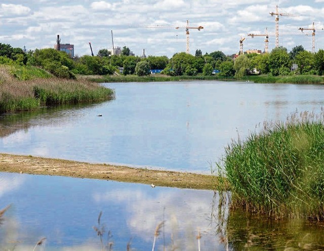 W Stawie Płaszowskim od kwietnia przybyło 17 cm wody