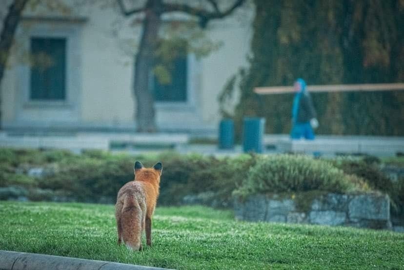 Zdjęcia dzięki uprzejmości Katedry na Wawelu