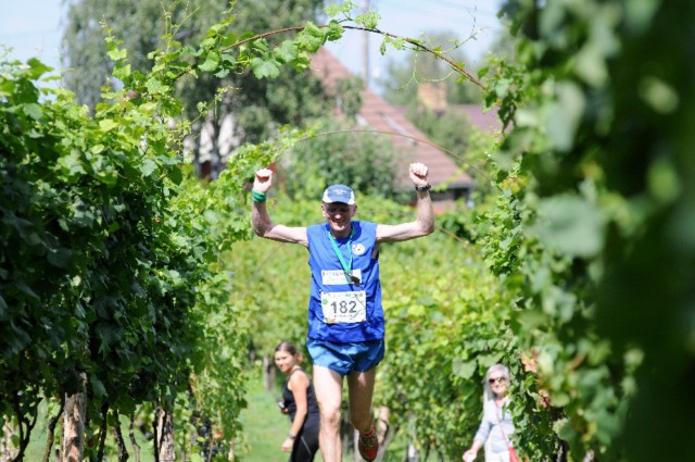 Rok temu, w pierwszym maratonie szlakiem wina i miodu, zwyciężył z czasem 3.03,23 Robert Kopcewicz z Goleniowa. Meta była w Winnicy Julia w Starym Kisielinie.