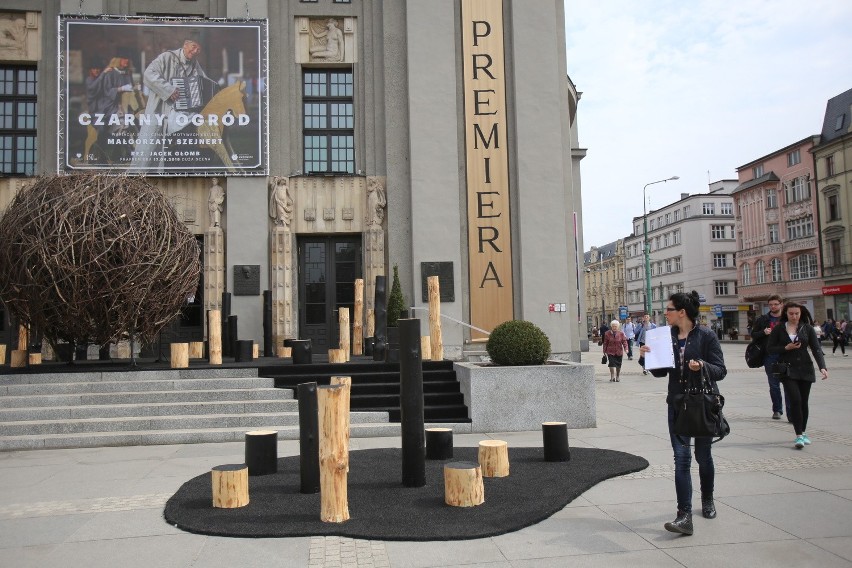 Czarny ogród przed Teatrem Śląskim. To instalacja z okazji...
