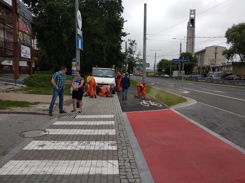 Kolejny wypadek na ścieżce rowerowej przy ul. Morskiej w Gdyni. W słupek uderzyło kilkuletnie dziecko! [wideo]