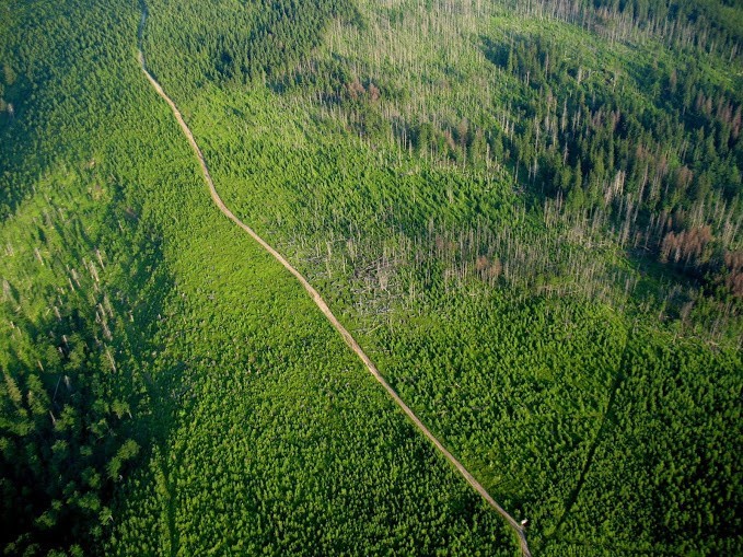 Beskid Śląski z lotu ptaka. Zobacz zdjęcia bielskiego...