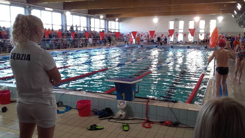 Emocjonujące zawody młodych pływaków w Kielcach 