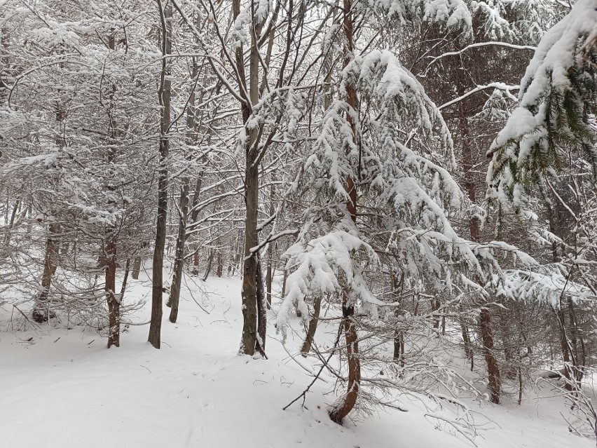 Warunki na szlakach w Beskidach są trudne – mokry śnieg,...
