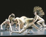 Wielu współczesnych twórców porzuca teatr na rzecz tańca 