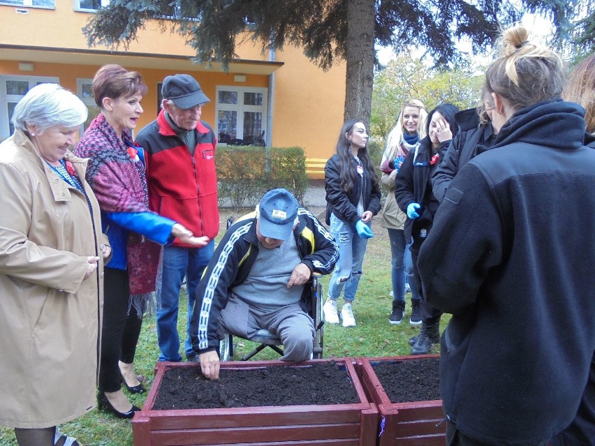 Wspólnie posadzili sto roślin cebulkowych w Tarnobrzegu [ZDJĘCIA]