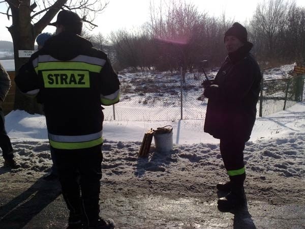 Strażacy zabezpieczający zarośla, w których schował się niedźwiedź. Na ziemi przygotowane dla misia smakołyki - plastry miodu i wiaderko pełne marchewki.