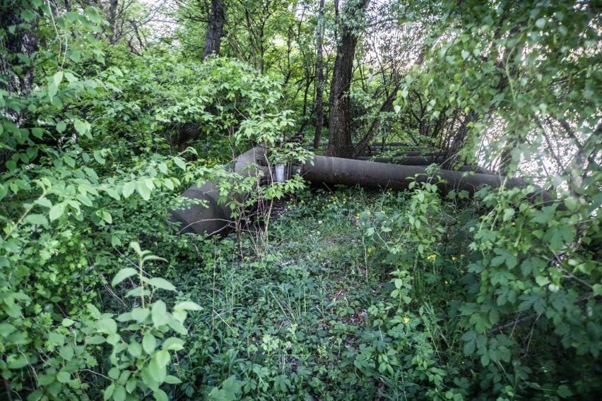 Bomba ekologiczna tyka w Krakowie. Wspólne śledztwo „Krakowskiej” i RMF Maxxx