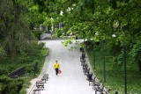 Najstarszy park w Lublinie ulubionym miejscem do spacerów i fotografowania. Zobacz zdjęcia Ogrodu Saskiego na Instagramie