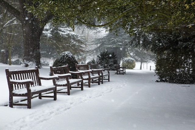 Instytut meteorologii i Gospodarki Wodnej wydał ostrzeżenie meteorologiczne dla Łodzi i województwa łódzkiego przed gęstymi mgłami oraz opadami marznącego deszczu. Mogą wystąpić również mżawkami powodującymi gołoledź.