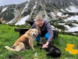 Dwa psy błąkały się po Tatrach. Zeszły do Pięciu Stawów. Teraz szukają dla nich domu
